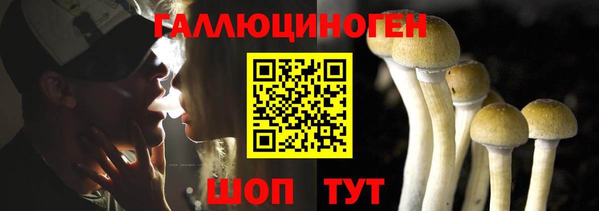 Псилоцибиновые грибы Psilocybine cubensis Санкт-Петербург